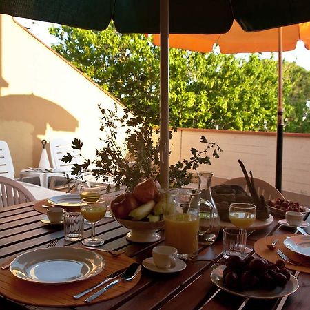 Appartamento Con Terrazza ليدو ديلي نازيوني المظهر الخارجي الصورة